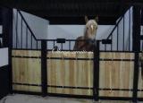 Porte de box pour chevaux